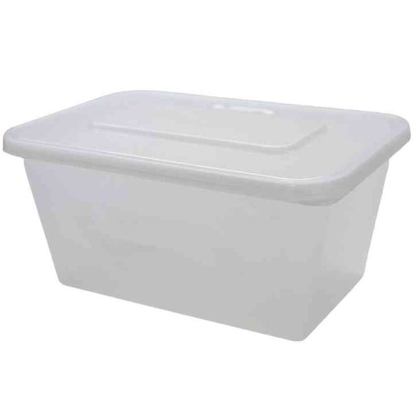 deli containers with lids bpa free