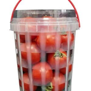 DX870: 28 oz Fruit Punnet with Handle 4