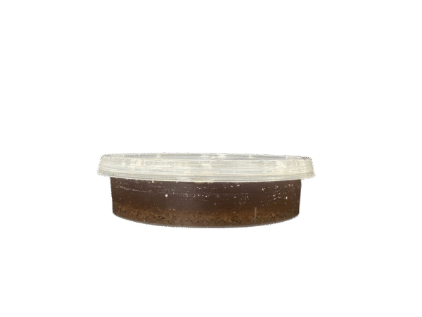 DYF1010: 32 oz Round Plastic Container with Lid