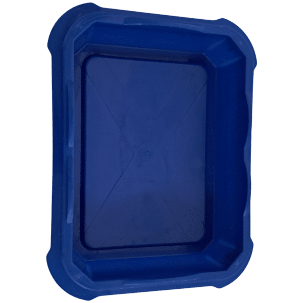 DX600: 20oz Cheese Tray with Clear Lid 6