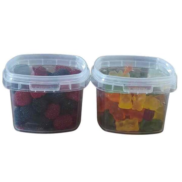 DOK280: 9 oz Plastic IML Container with Lids
