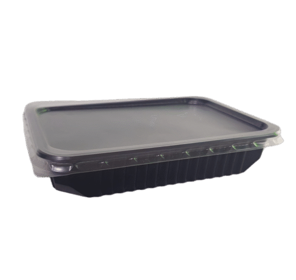 47T0040 PP Meal Container – Microwave-Safe Food Container 500 cc