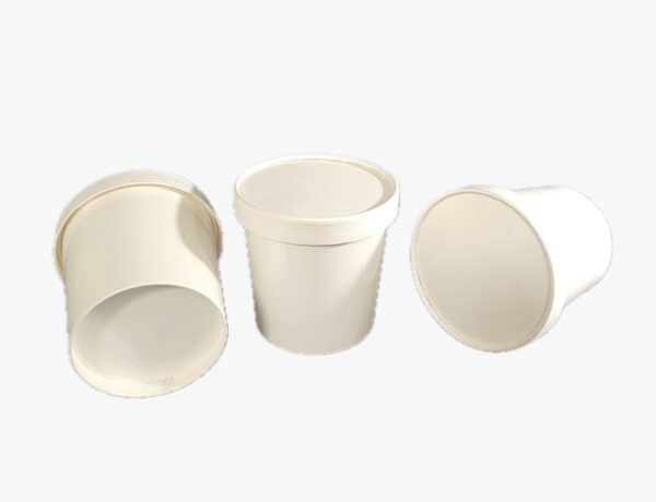 DPAP300 – Paper Lid & Paper Bowl Packaging