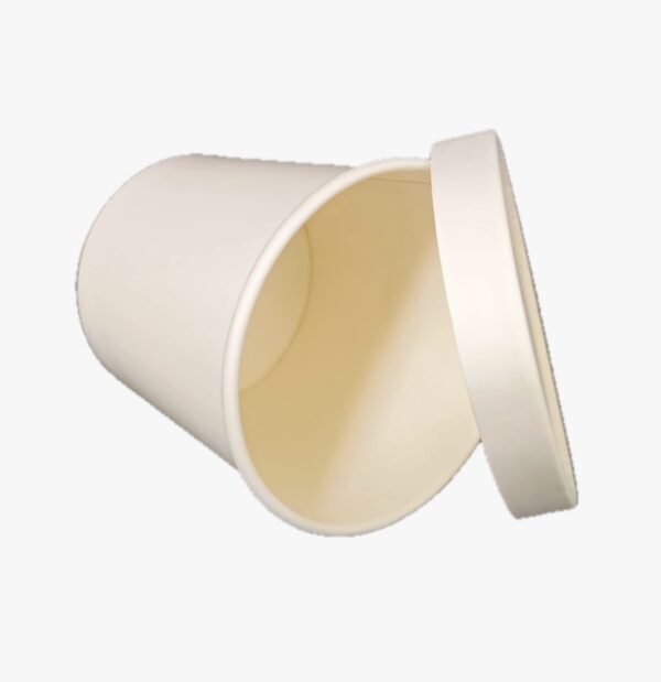 DPAP300 – Paper Lid & Paper Bowl Packaging (Copy)