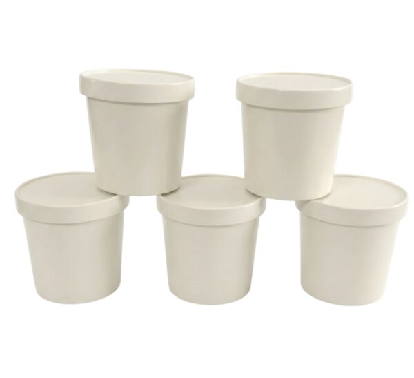 DPAP300 – Paper Lid & Paper Bowl Packaging