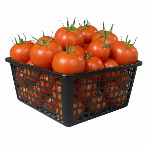 DX601 – Durable and Practical Mini Tomato Basket