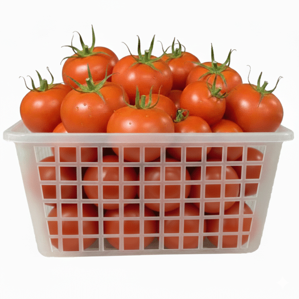 DX601 – Durable and Practical Mini Tomato Basket