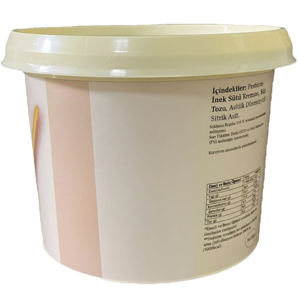 DYF520: 16 oz Round Plastic Tub with Lid