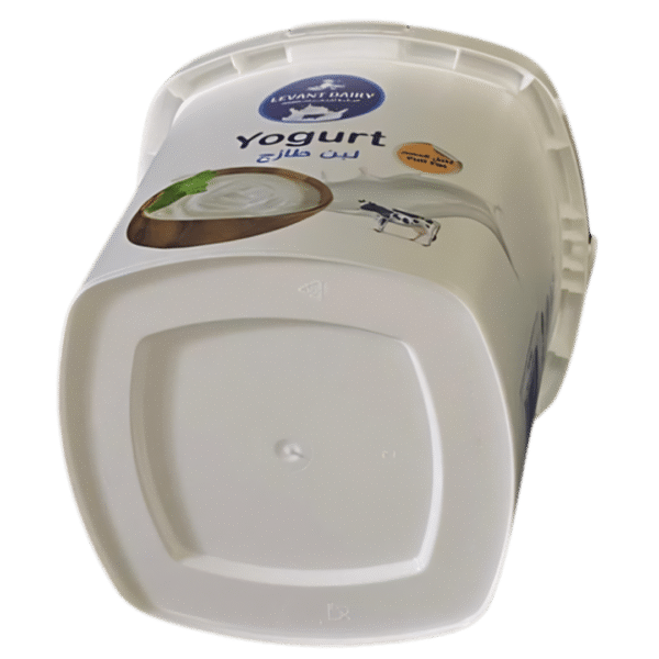 DOK1195: 1195ml PP IML Container & Lid